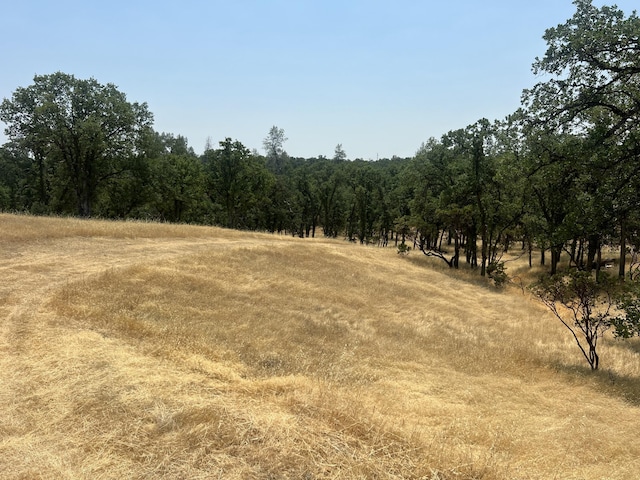 63 Little Oak Ln, Cottonwood, CA 96022 - photo 9