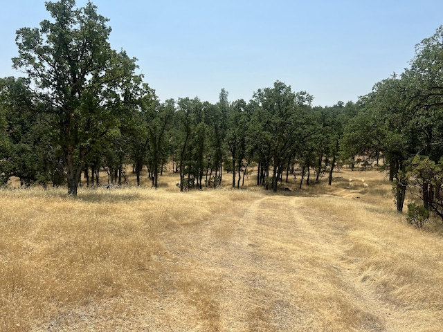 63 Little Oak Ln, Cottonwood, CA 96022 - photo 3
