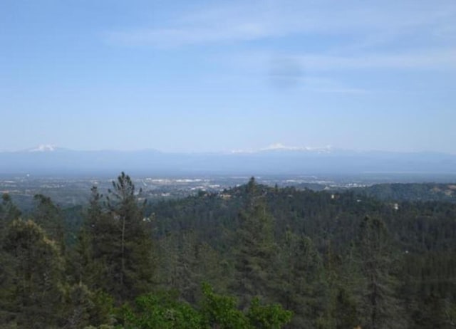 15151 Brunswick Dr, Shasta, CA 96087 - photo 5