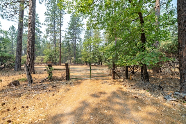 29061 S Cow Creek Rd, Whitmore, CA 96096 - photo 25