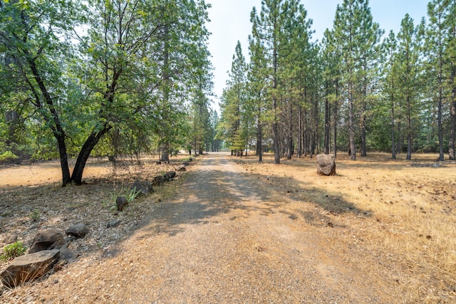 29061 S Cow Creek Rd, Whitmore, CA 96096 - photo 26