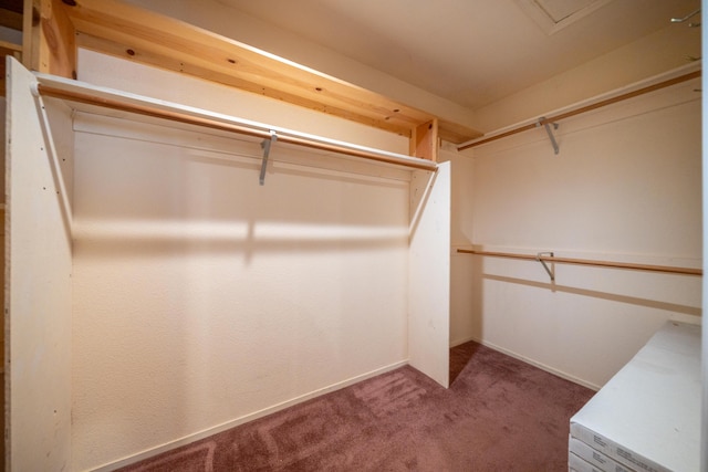 29061 S Cow Creek Rd, Whitmore, CA 96096 - photo 23