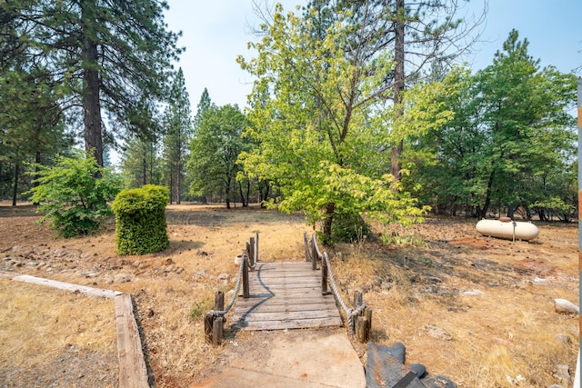 29061 S Cow Creek Rd, Whitmore, CA 96096 - photo 34