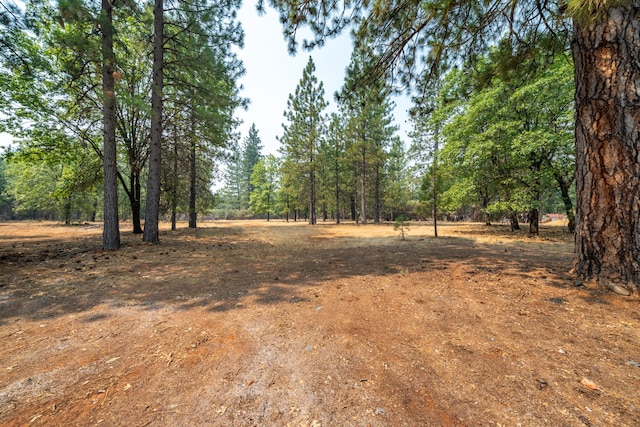 29061 S Cow Creek Rd, Whitmore, CA 96096 - photo 35