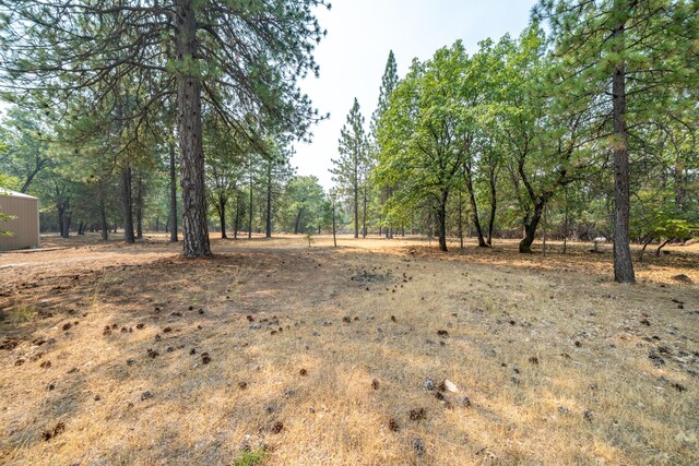 29061 S Cow Creek Rd, Whitmore, CA 96096 - photo 47