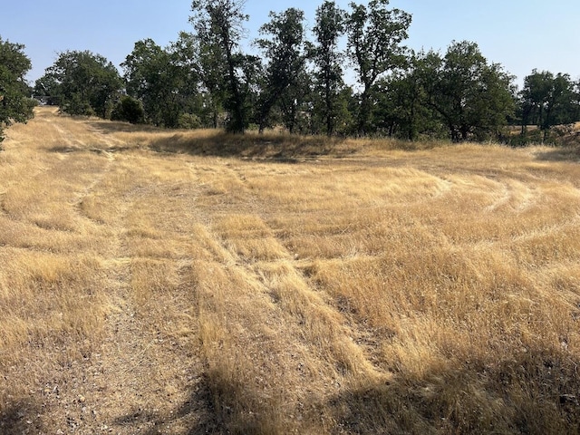 17125 Quail Ridge Rd, Cottonwood, CA 96022 - photo 7
