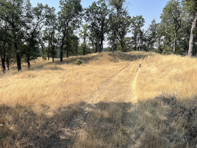 17125 Quail Ridge Rd, Cottonwood, CA 96022 - photo 8