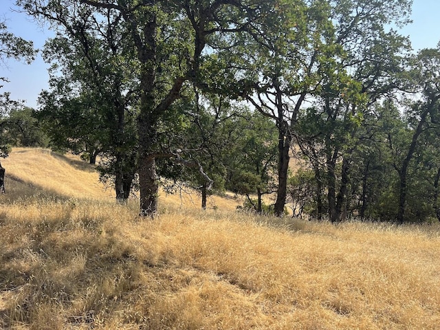 17125 Quail Ridge Rd, Cottonwood, CA 96022 - photo 12