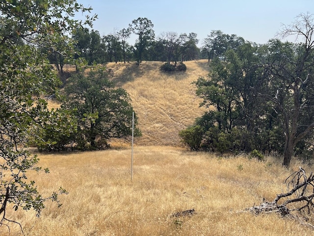 17125 Quail Ridge Rd, Cottonwood, CA 96022 - photo 13