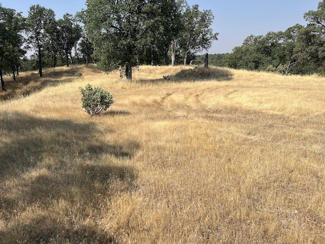 17125 Quail Ridge Rd, Cottonwood, CA 96022 - photo 14