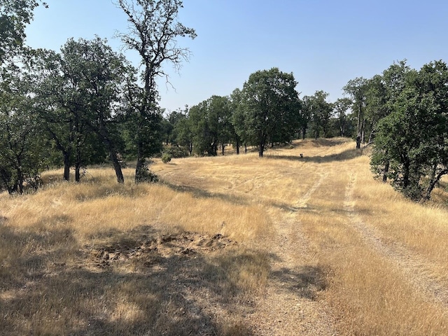 17125 Quail Ridge Rd, Cottonwood, CA 96022 - photo 15