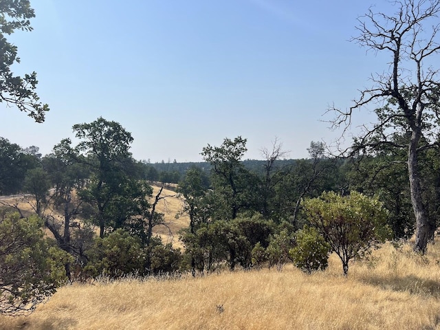 17125 Quail Ridge Rd, Cottonwood, CA 96022 - photo 1