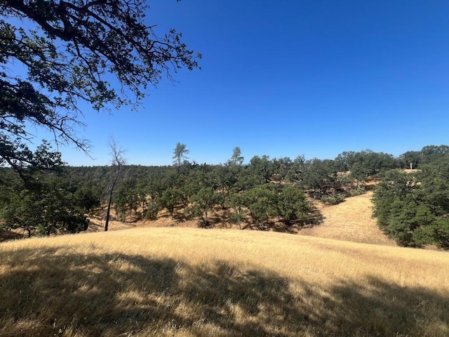 17125 Quail Ridge Rd, Cottonwood, CA 96022 - photo 22