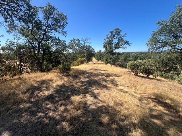 17125 Quail Ridge Rd, Cottonwood, CA 96022 - photo 24