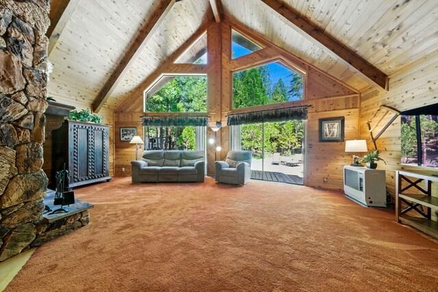 8102 Richards Ln, Shingletown, CA 96088 - photo 5