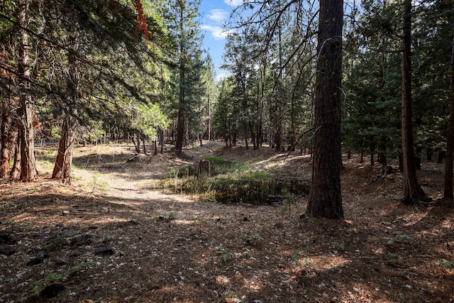 8300 Brookside Meadows Ln, Shingletown, CA 96088 - photo 28