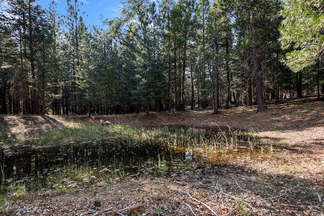 8300 Brookside Meadows Ln, Shingletown, CA 96088 - photo 29