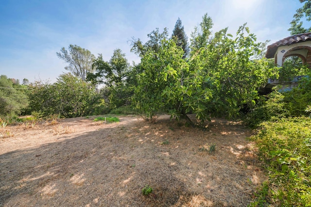 8921 Redbank Rd, Redding, CA 96001 - photo 64