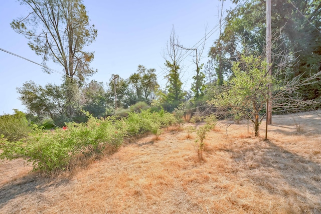 8921 Redbank Rd, Redding, CA 96001 - photo 65
