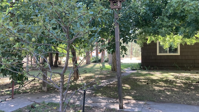 26895 Lee Rd, Mcarthur, CA 96056 - photo 6