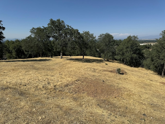 20295 Domaine Pl, Anderson, CA 96007 - photo 1