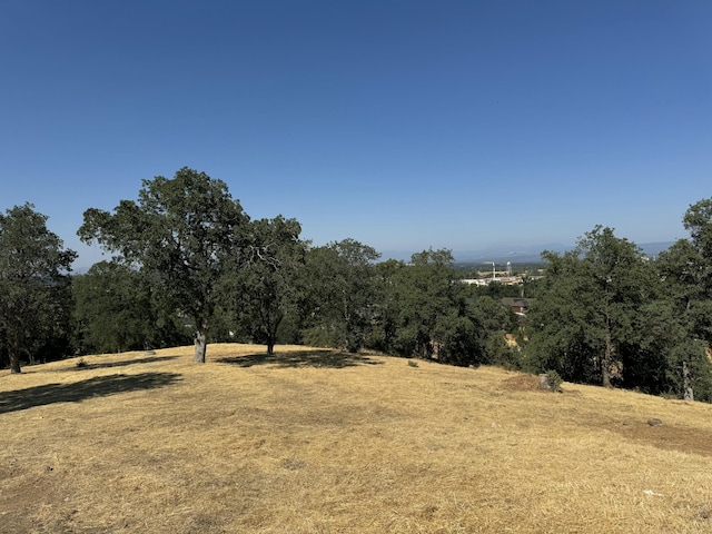 20295 Domaine Pl, Anderson, CA 96007 - photo 4