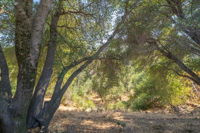4330 Rising Mist Cir, Redding, CA 96001 - photo 39