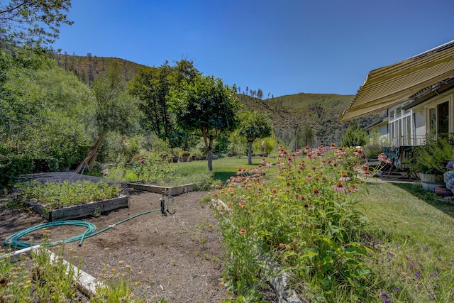14925 Trinity Mountain Rd, French Gulch, CA 96033 - photo 30