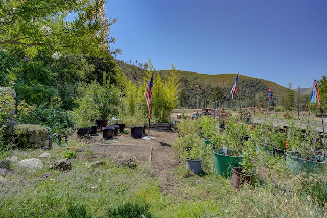 14925 Trinity Mountain Rd, French Gulch, CA 96033 - photo 32