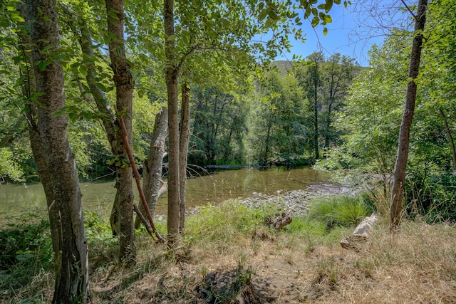 14925 Trinity Mountain Rd, French Gulch, CA 96033 - photo 40