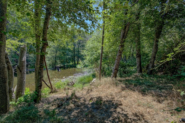 14925 Trinity Mountain Rd, French Gulch, CA 96033 - photo 41