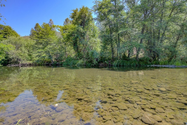 14925 Trinity Mountain Rd, French Gulch, CA 96033 - photo 42