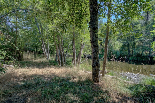 14925 Trinity Mountain Rd, French Gulch, CA 96033 - photo 4