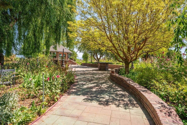 42500 Mcarthur Rd, Fall River Mills, CA 96028 - photo 121