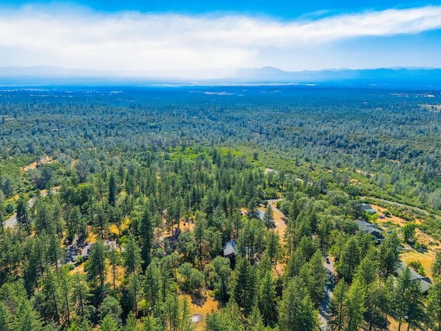 6823 Black Butte Rd, Shingletown, CA 96088 - photo 35