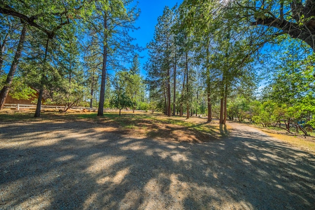 6823 Black Butte Rd, Shingletown, CA 96088 - photo 36