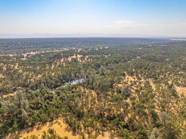 0000 Two Feathers Rd, Cottonwood, CA 96022 - photo 5
