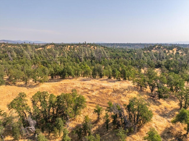 0000 Two Feathers Rd, Cottonwood, CA 96022 - photo 8