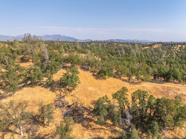 0000 Two Feathers Rd, Cottonwood, CA 96022 - photo 9