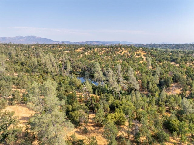 0000 Two Feathers Rd, Cottonwood, CA 96022 - photo 13