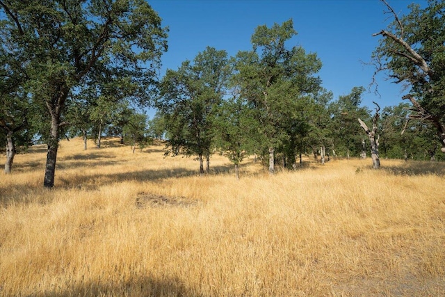 0000 Two Feathers Rd, Cottonwood, CA 96022 - photo 14