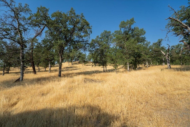 0000 Two Feathers Rd, Cottonwood, CA 96022 - photo 15