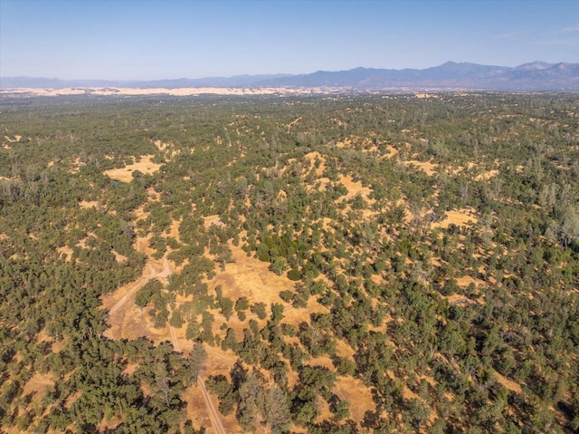 0000 Two Feathers Rd, Cottonwood, CA 96022 - photo 19