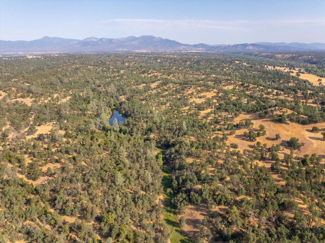 0000 Two Feathers Rd, Cottonwood, CA 96022 - photo 20