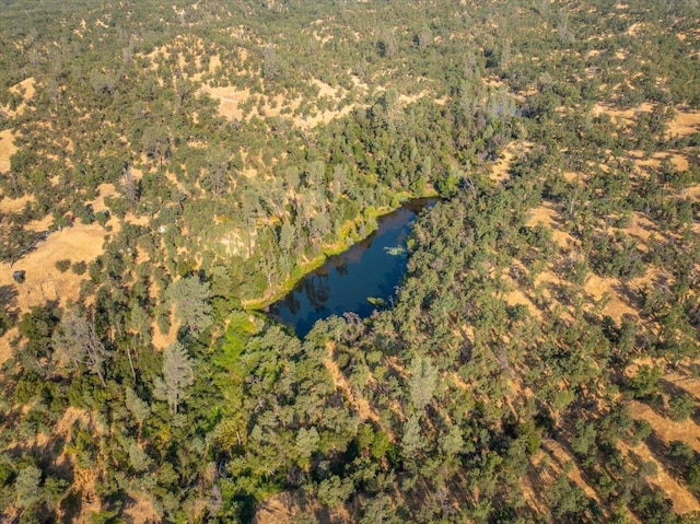 0000 Two Feathers Rd, Cottonwood, CA 96022 - photo 21