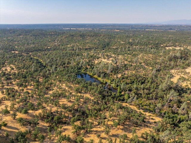 0000 Two Feathers Rd, Cottonwood, CA 96022 - photo 22