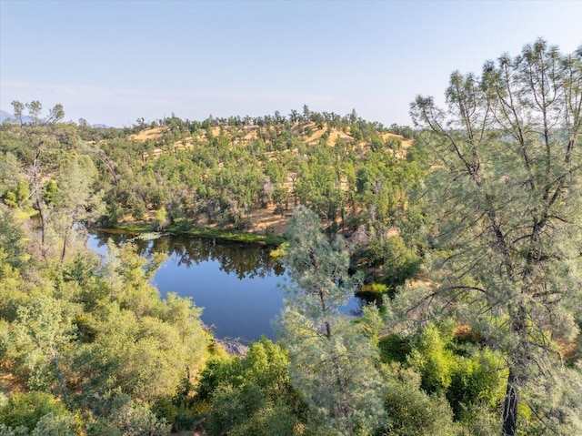 0000 Two Feathers Rd, Cottonwood, CA 96022 - photo 25