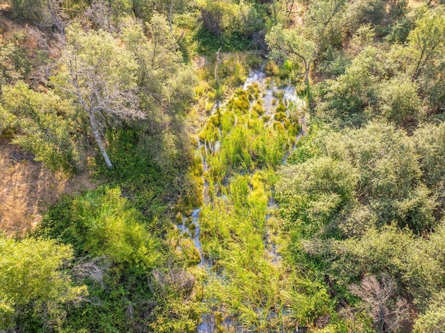 0000 Two Feathers Rd, Cottonwood, CA 96022 - photo 34
