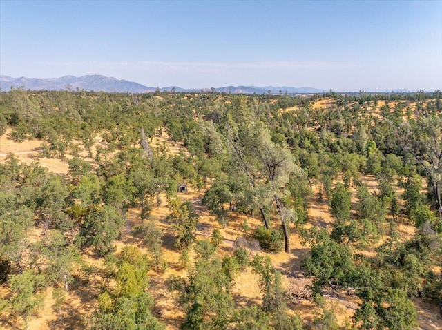 0000 Two Feathers Rd, Cottonwood, CA 96022 - photo 37