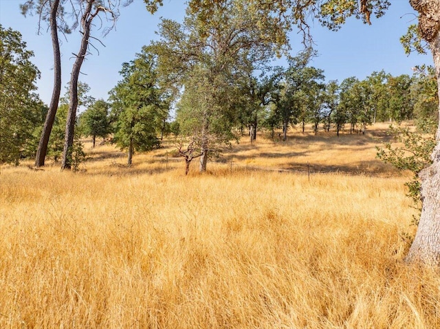 0000 Two Feathers Rd, Cottonwood, CA 96022 - photo 39